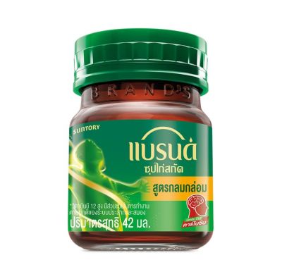แบรนด์ซุปไก่รสกลมกล่อม 42 cc ย่อย